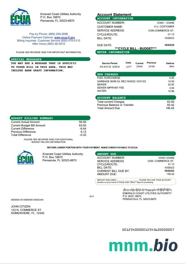 Szablon rachunku za media USA ECUA w formacie Word i PDF